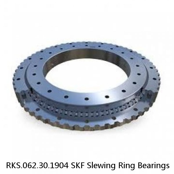 RKS.062.30.1904 SKF Slewing Ring Bearings