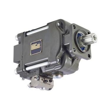 Case 151890A1 Hydraulic Final Drive Motor